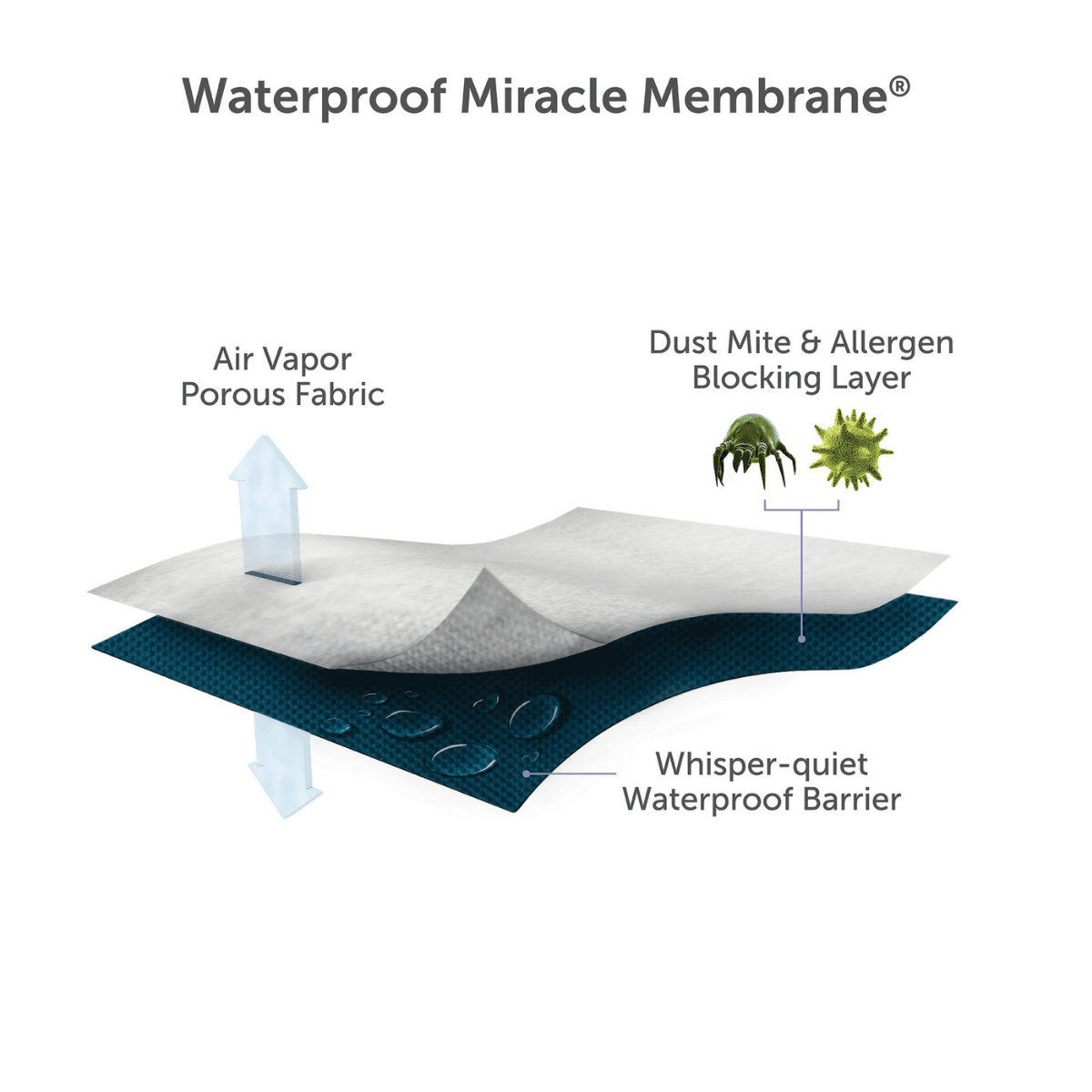Cotton mattress protector