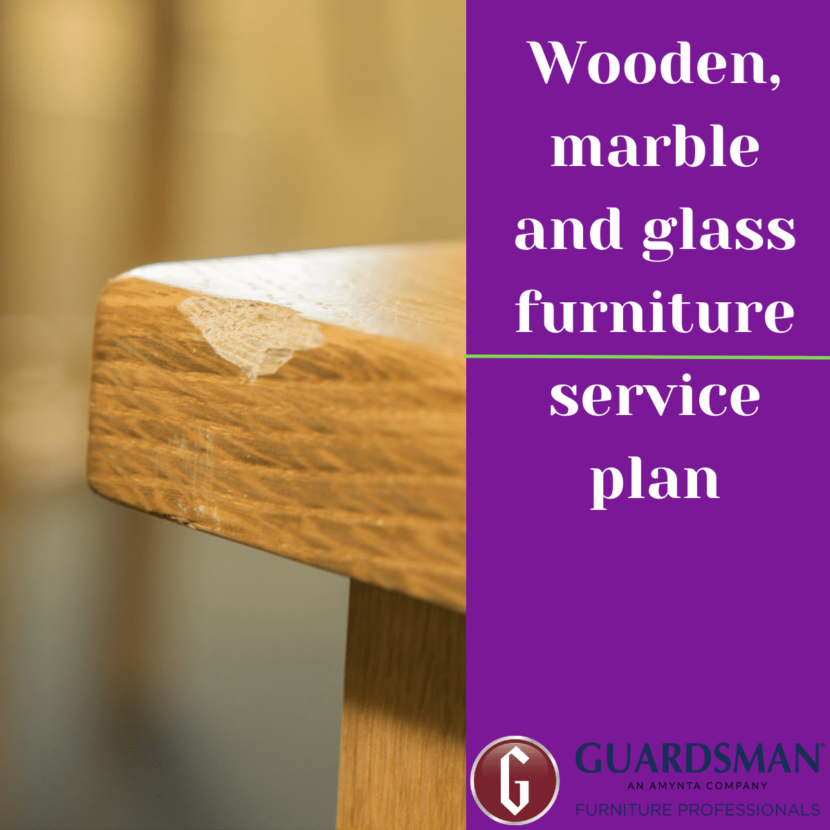 Dining Furniture Service Plan 4