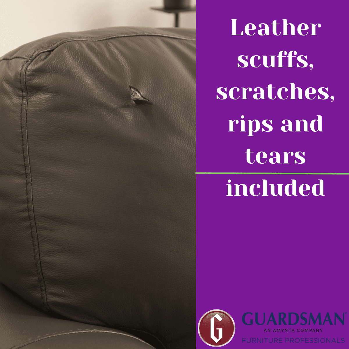 Upholstery Furniture Service Plan 6