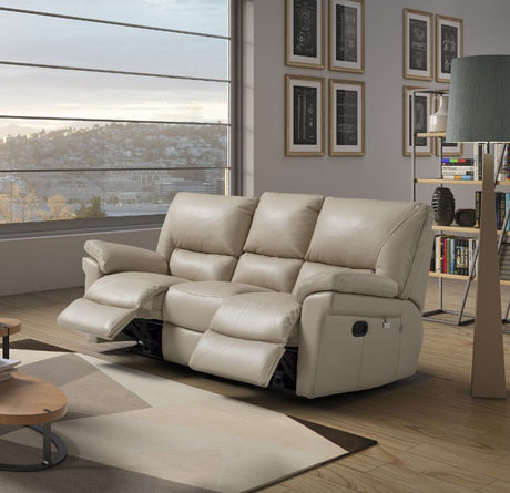 Leather Sofas
