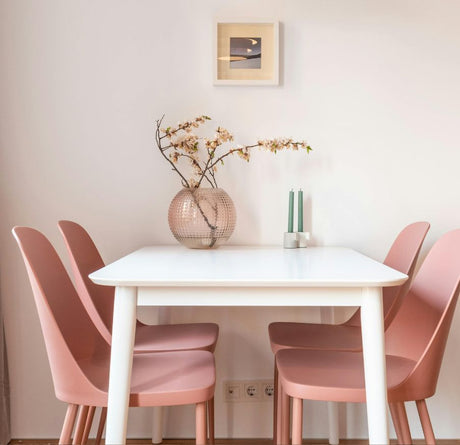 Coloured Dining Chairs