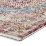 Athena Antique Style Distressed Area Rug
