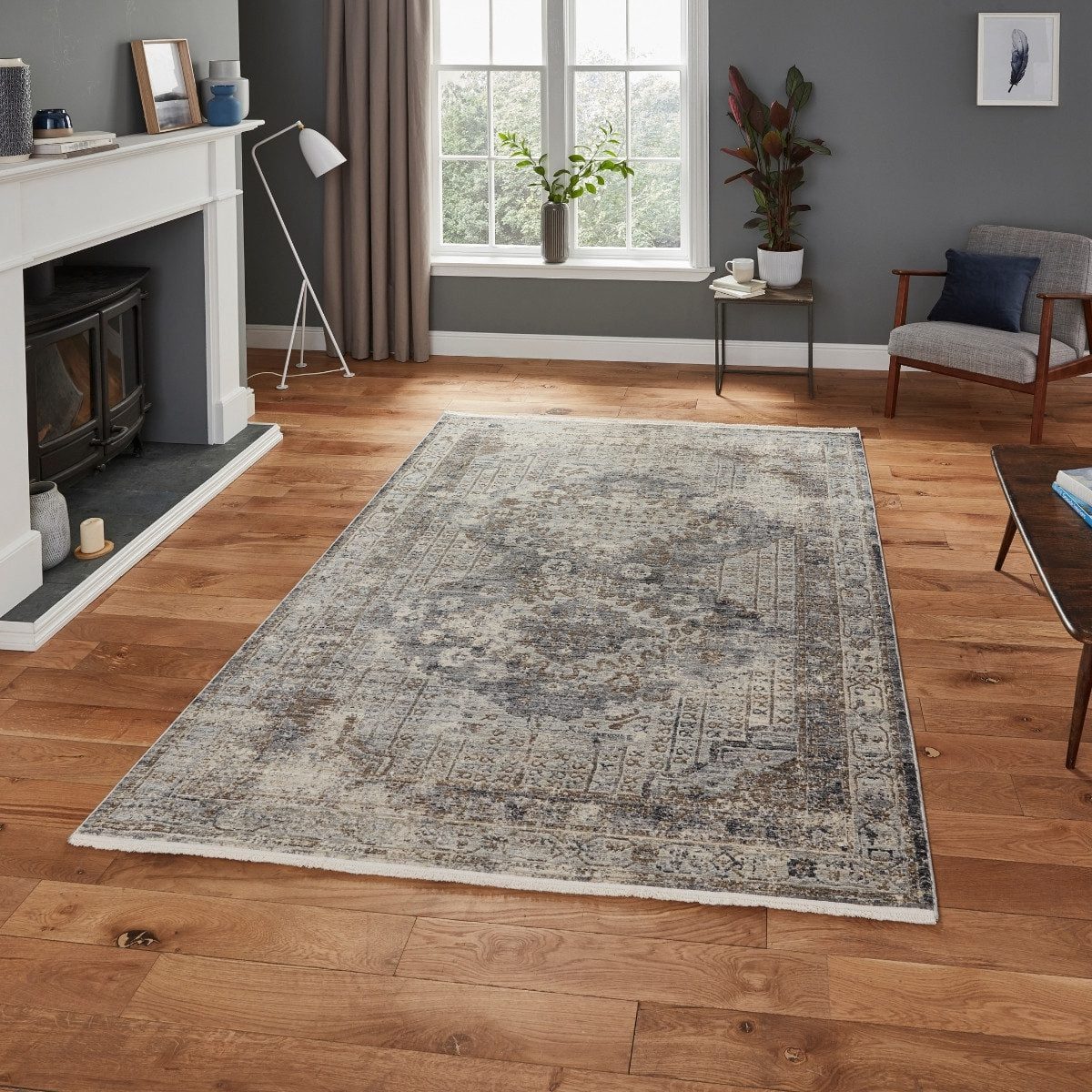 Athena Antique Style Distressed Area Rug