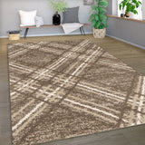 Patterned area rug on a wooden floor with a living room setting in the background.