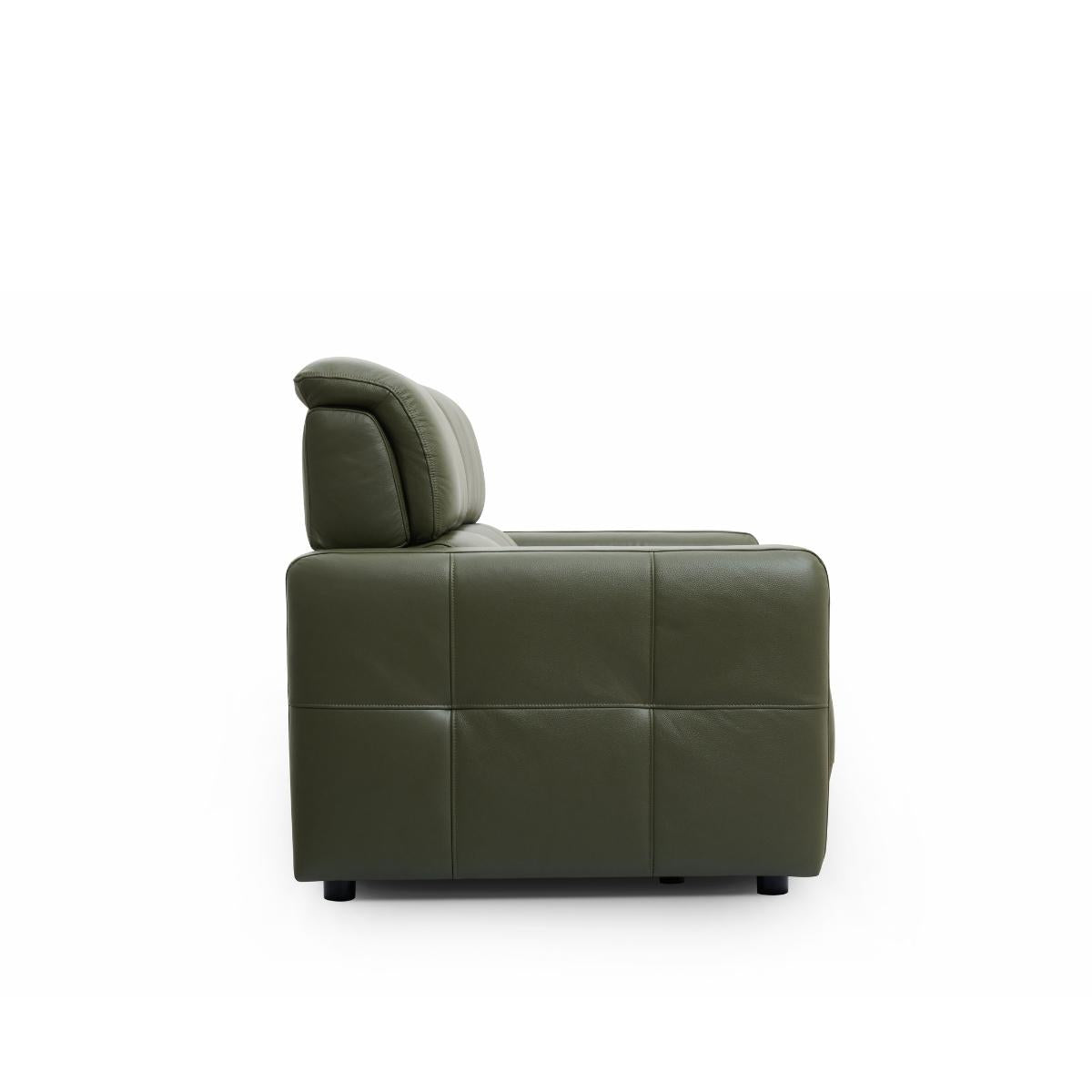 Carnegie green leather 2.5 seater sofa shown from a side profile view against a solid white background.