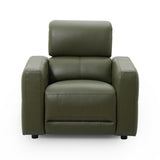 Carnegie green upholstered armchair with a high back, wide armrests, and dark feet, shown against a plain white background.