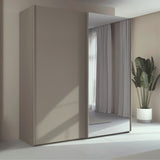 Trixie modern wardrobe with a mirror in a minimalistic room with a plant.