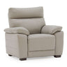 Pomona Leather Armchair