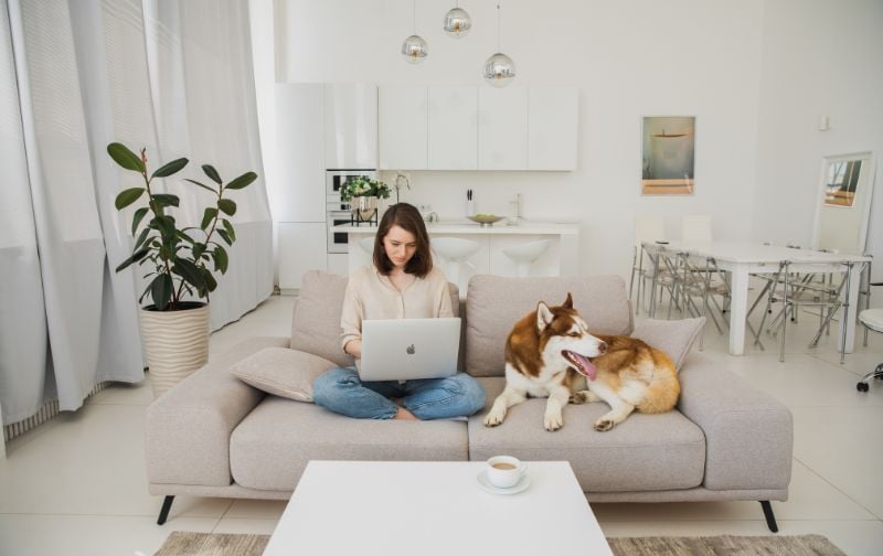 Lady on her laptop sharing a couch with her dog.