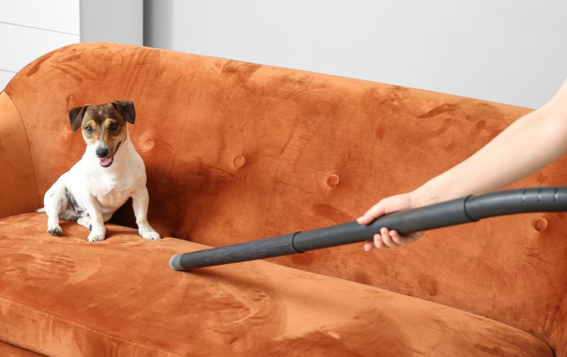 Person vacuuming orange velvet sofa with dog sitting on it.