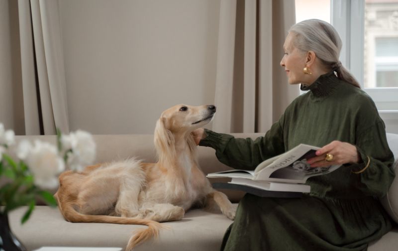 Woman rubbing groomed dog on sofa.