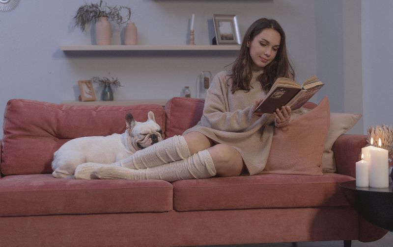 Dog on loveseat with a lady reading a book.