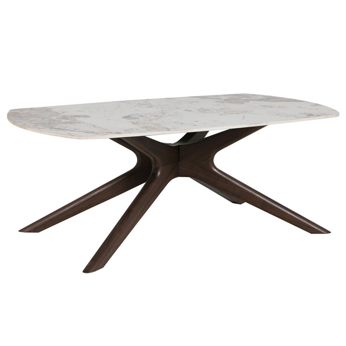 Aster Stone Coffee Table - 1