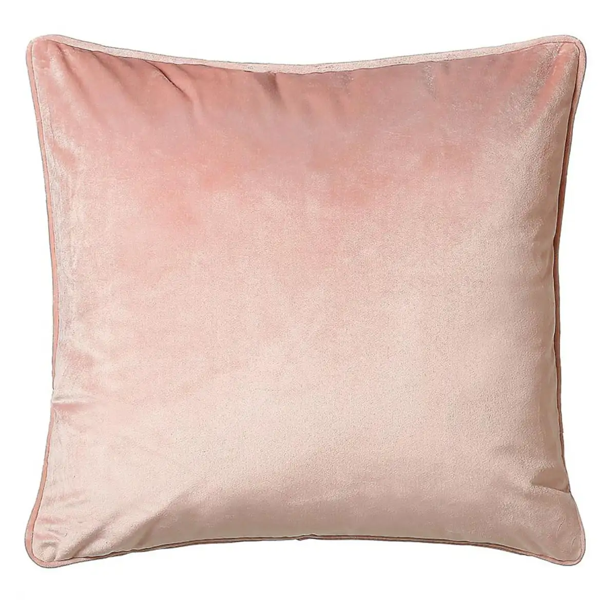 Blush pink 2025 velvet cushion