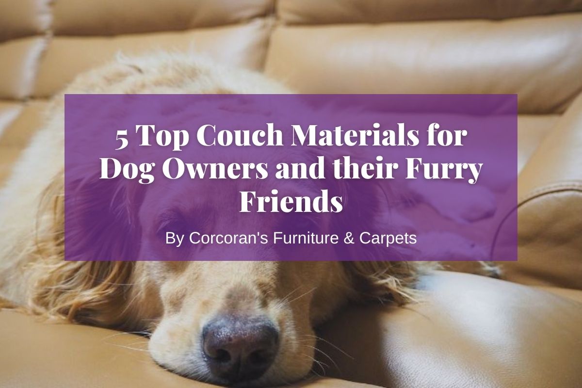 Paw-sitively Perfect: 5 Top Couch Materials for Dog Owners and their Furry Friends