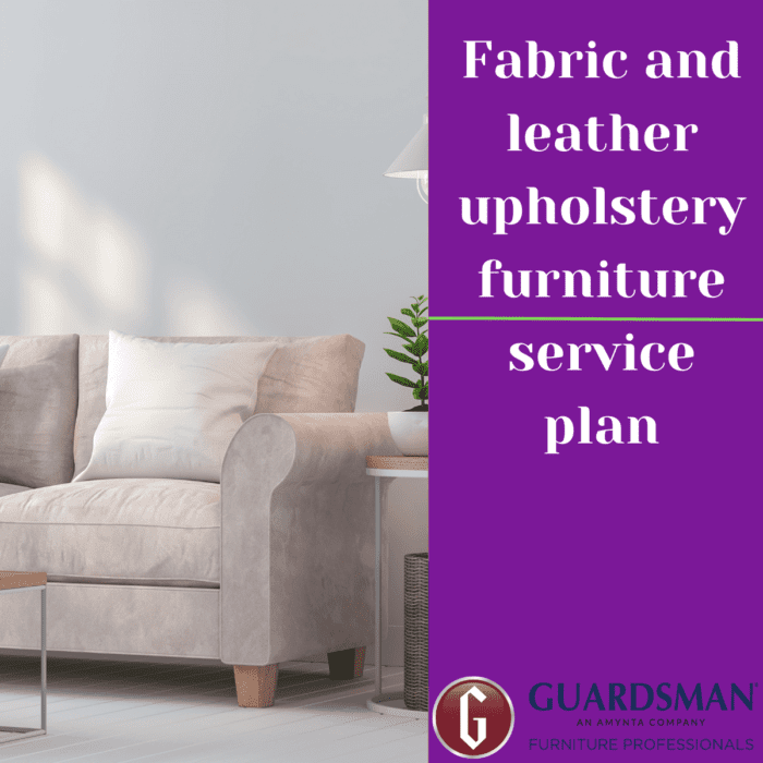 Upholstery Furniture Service Plan 7