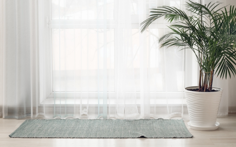 a plant in a room beside a flatweave rug