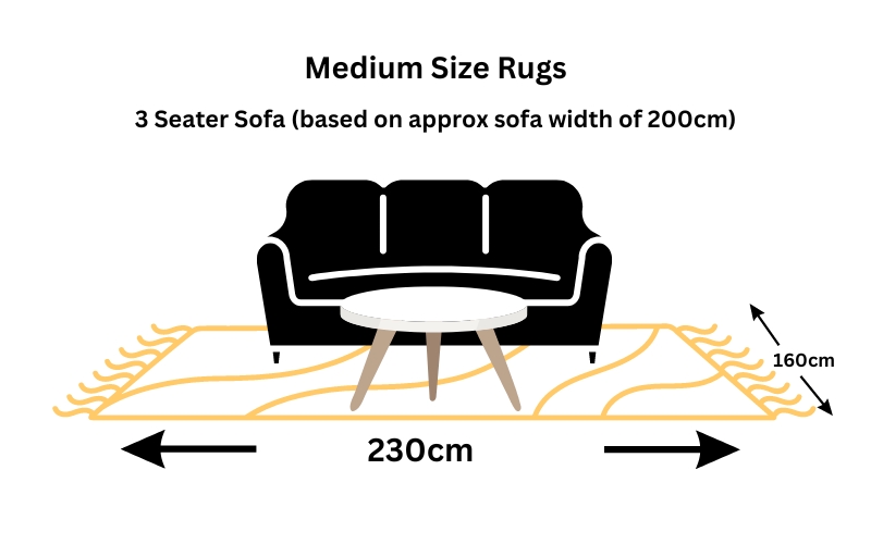 a diagram of a couch and a coffee table on a medium size rug