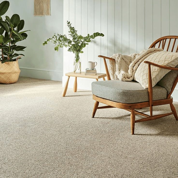 Carpet options deals