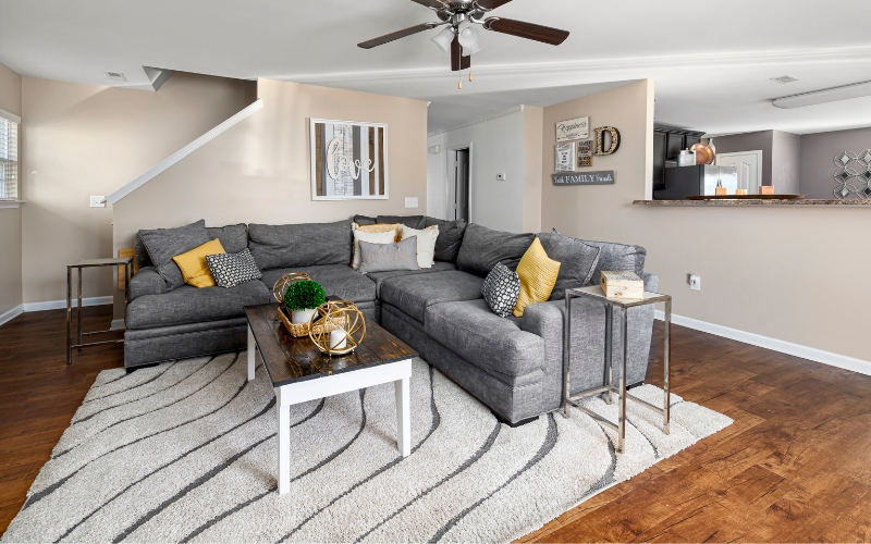 sofa sitting on plush rug in living room