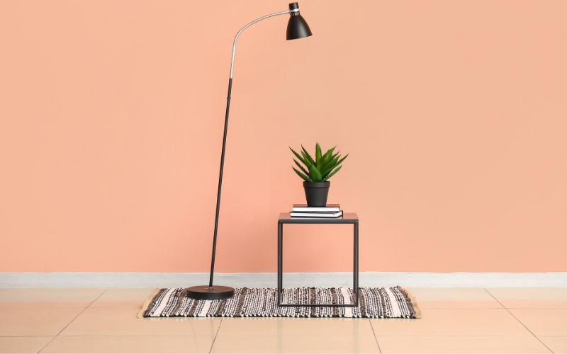 a lamp next to a plant on a table resting on a small rug