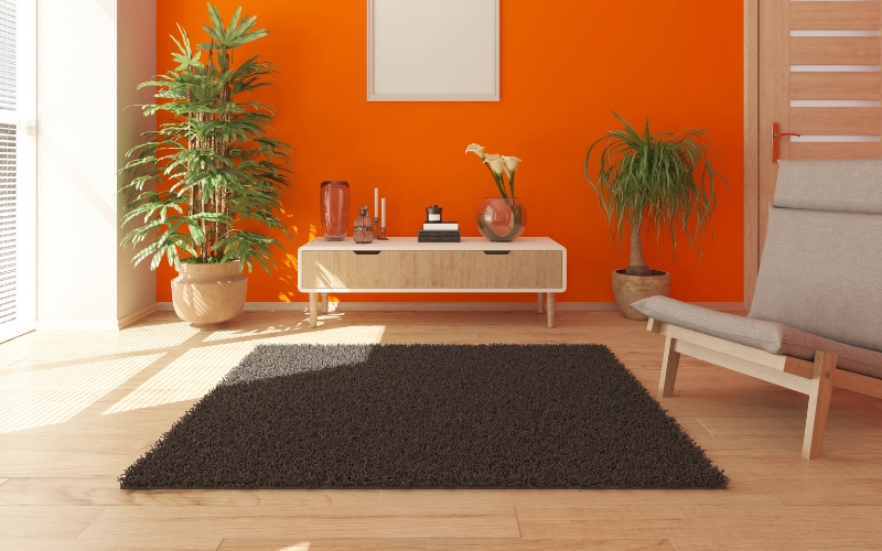 a room with orange walls and a brown rug and a coffee table